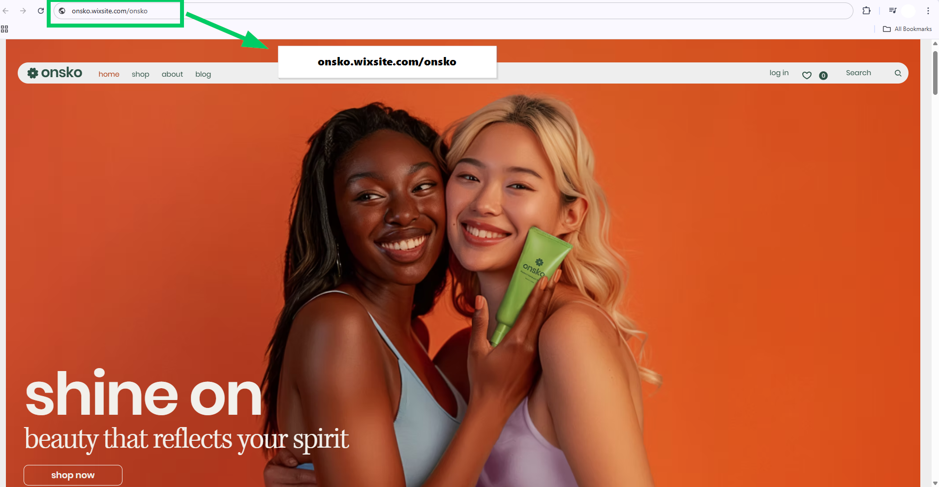  Are Free Website Builders Really Free 